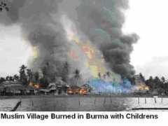 Burmi