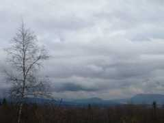 pericat.ca Burnaby