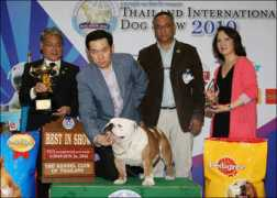 thailanddogshow.com Burnikell
