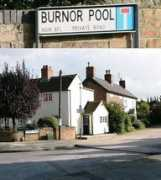 Burnor