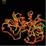 weizmann.ac.il Burstein