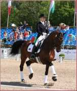 applausedressage.com Burtell