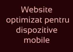 burtoni.ro Burtoni