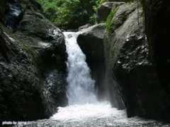 biliranisland.com Busai