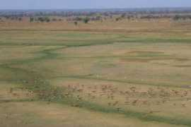 Busanga
