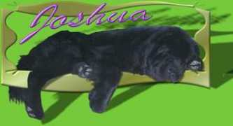 Buschhoff