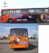 Buses