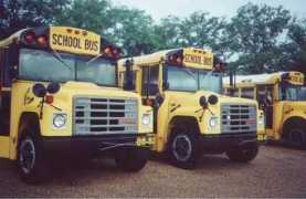 Buses