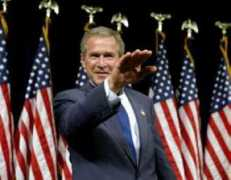 Bush