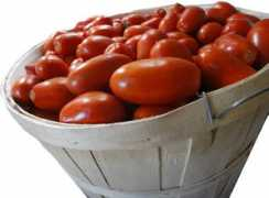 Bushels