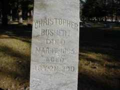 Bushert
