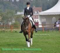 horsecity.ru Bushina