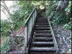 Bushway