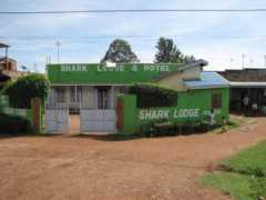 Busia