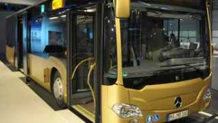 n24.de Busii