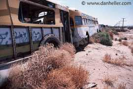 danheller.com Busses