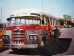 panoramio.com Busz