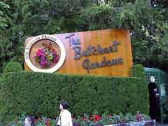 airticket.com.hk Butchard