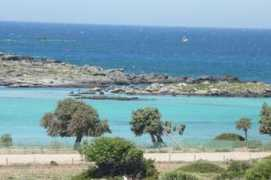 foto.delfi.lt Buteva