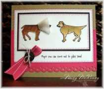 splitcoaststampers.com Butzi