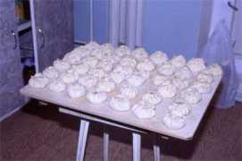 chriskaplonski.com Buuz