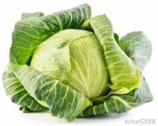 wisegeek.com Buuz