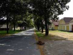 Buzic