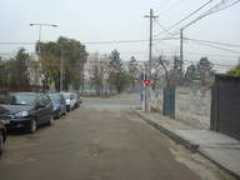 Buzoiu