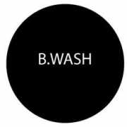 amanocar.com Bwash