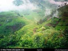 Bwindi
