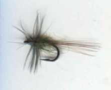 glyndwr-fishery.co.uk Bwo