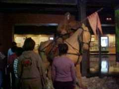 ceipdrassanes.ravalnet.org Caballer