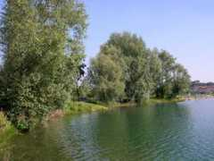Cabassi