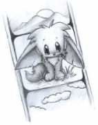 Cabbit