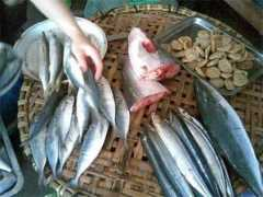 tinmoi.vn Cabien