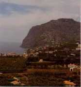Cabog