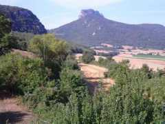 Cabredo