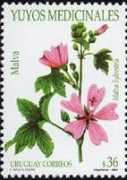Cacaia
