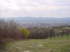 Cacak