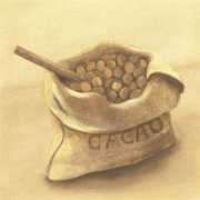 Cacao
