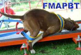 fedmexapbt.org Cacharpas