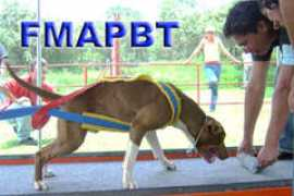 fedmexapbt.org Cacharpas