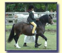 brynseion.com Caderyn