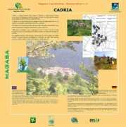 consorzioforestalevalvestino.com Cadria