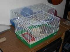 Cages