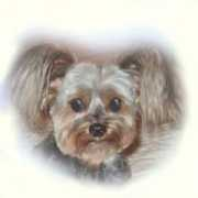 Cagney