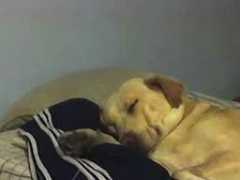 fotos.euroresidentes.com Cahila