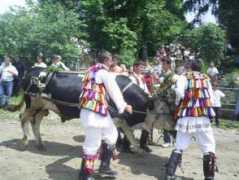 dordeduca.ro Caianu