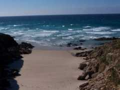 Caion