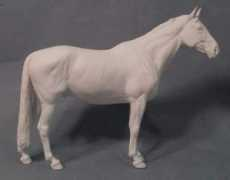 equineresindirectory.com Caitano